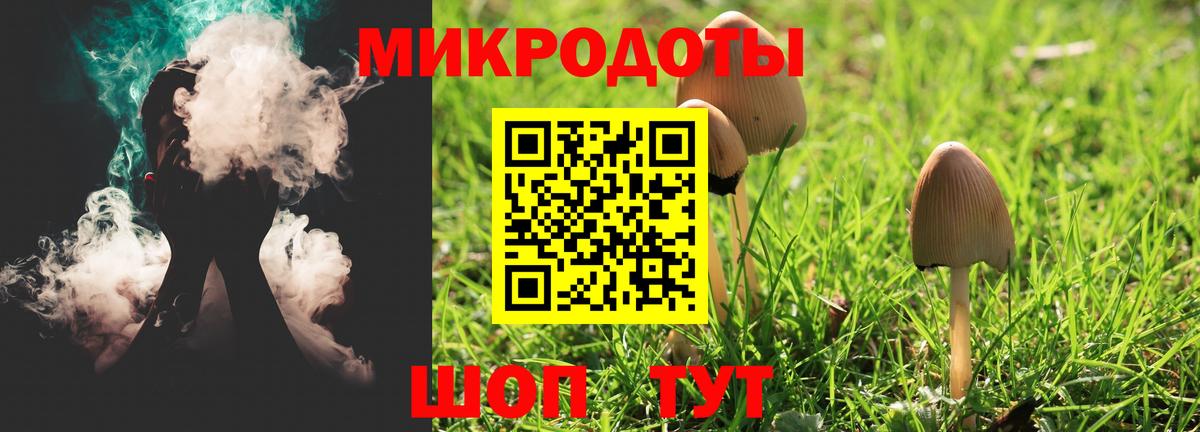 Шатура  Псилоцибиновые грибы прущие грибы  Галлюциногенные грибы Cubensis  Вход с VPN 